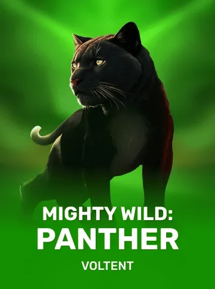 Mighty Wild Panther 94 slot game